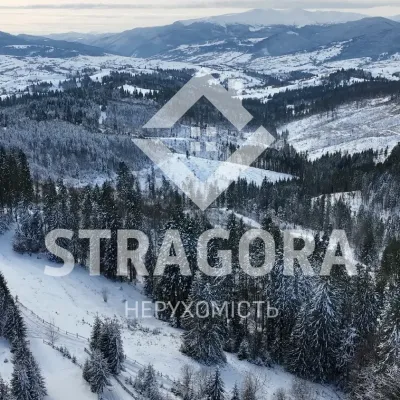 Земельна ділянка 1 Га у Яблуниці +30 kW