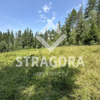 Продається земельна ділянка в селі Микуличин 0.34 га
