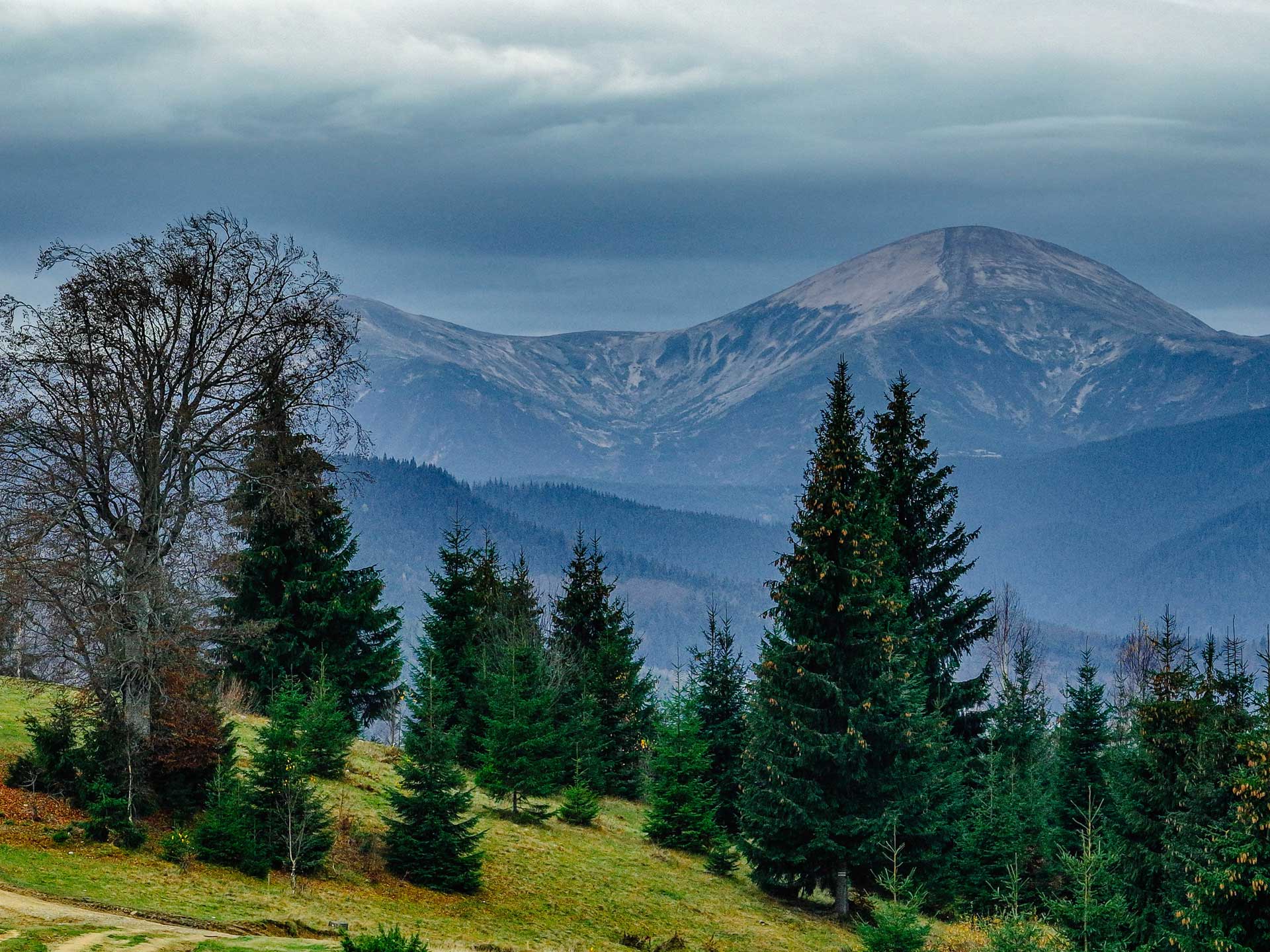 Stragora Homepage banner